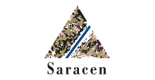 Saracen